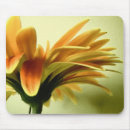 Search for gerberas mousepads Floral
