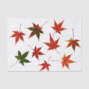 Search for japanese tissue paper Red