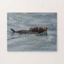 Search for sea otter puzzles Cute