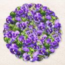 Search for pansy barware Purple