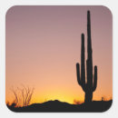 Search for saguaro cactus stickers Arizona