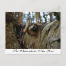Search for adirondacks photography Mountains