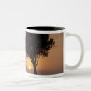 Search for tree silhouette coffee mugs Scene