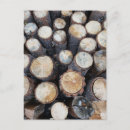 Search for loggers postcards Nature