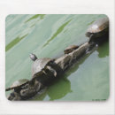 Search for tortoises mousepads Turtle