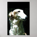 Search for borzois posters Canine