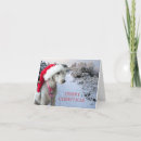 Search for terrier christmas cards Xmas