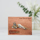 Search for desert animals postcards Nature
