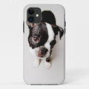 Search for length iphone cases Animal