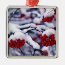 Search for frozen christmas tree decorations Environment