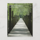 Search for boardwalks Trees