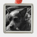 Search for red heeler christmas tree decorations Dog