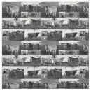 Search for black cow fabric Highland
