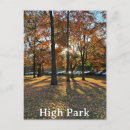Search for falling postcards Tree