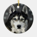 Search for husky christmas tree decorations Animals