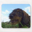 Search for wiener mousepads Animal