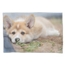 Search for corgi pillowcases Dog