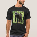 Search for lowland tshirts Wildlife