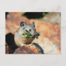 Search for mouse postcards Forest