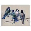 Search for bluebird watercolor posters Animals