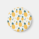 Search for pineapple magnets Abstract