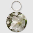 Search for apple key rings Nature