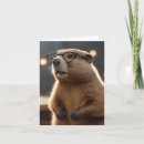 Search for of the hamster and cards For pets