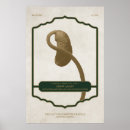Search for live green posters Vintage