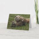 Search for cuddle bear cards Cuddling