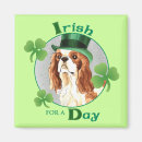 Search for st patty day magnets Dog