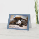 Search for tortoise birthday cards Humour