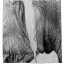 Search for wildlife shower curtains Elephant