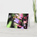 Search for pollen cards Wildlife