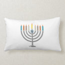 Search for passover cushions Jewish