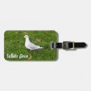 Search for pigeon lover gifts Dove