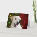 Search for labrador retriever christmas cards Yellow