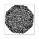 Search for mandala rubber stamps Yoga