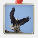 Search for bald eagle christmas tree decorations Alaska
