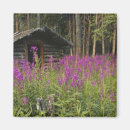 Search for tree trunk magnets Plant