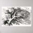 Search for cheshire cat posters Lewis carroll