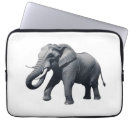 Search for tusks Mammal