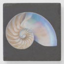 Search for nautilus shell coasters Nature