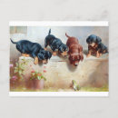 Search for vintage frog postcards Animal
