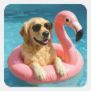 Search for pool floats stickers Summer