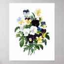 Search for pansy paintings posters Vintage