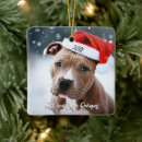 Search for pit bull christmas tree decorations Funny