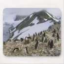 Search for low angle view mousepads Togetherness