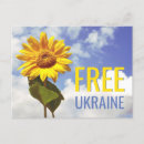 Search for yellow sunflowers postcards Simple