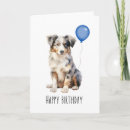 Search for aussie birthday cards Australian shepherd