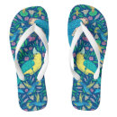 Search for parrot shoes Pattern